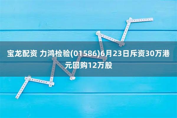 宝龙配资 力鸿检验(01586)6月23日斥资30万港元回购12万股