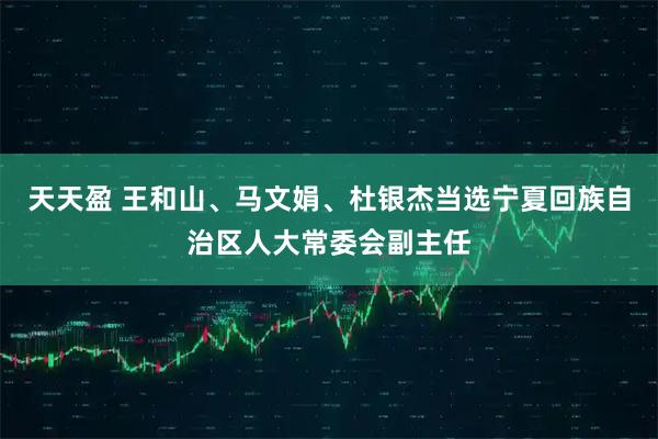 天天盈 王和山、马文娟、杜银杰当选宁夏回族自治区人大常委会副主任